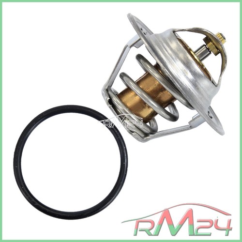 Termostato per rover 100 - 1x,