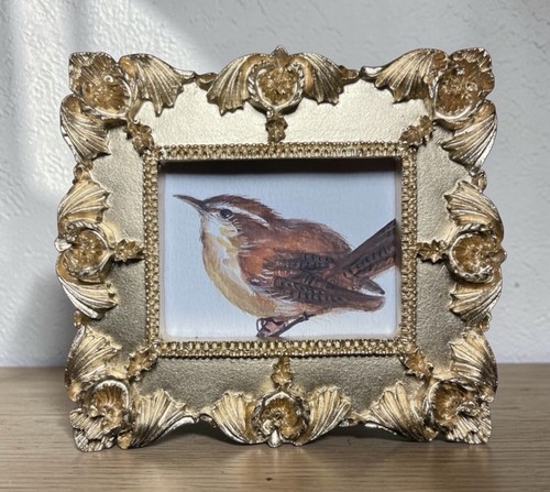 Carolina wren acquerello mini - wren,