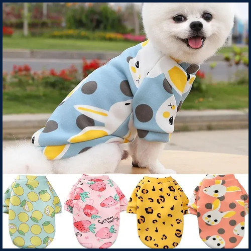 Felpa cane chihuahua - felpa,