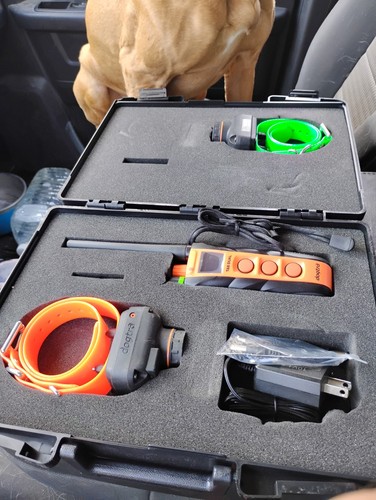 Dogtra dual sistema - t&b,