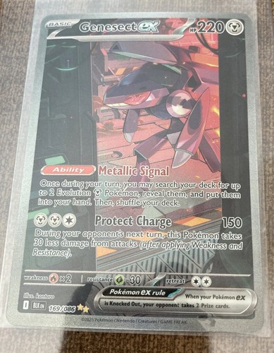 Pokémon tcg bullone nero - pokémon,
