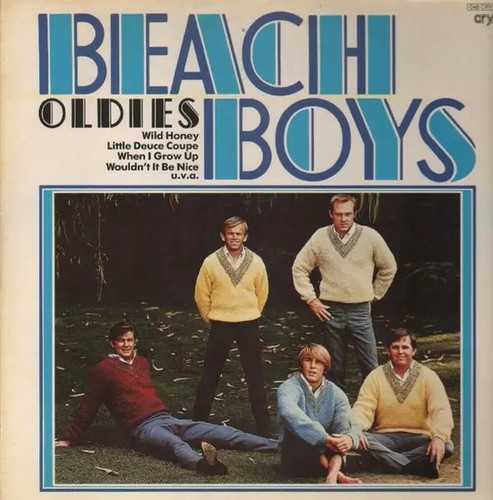 The beach boys - beach, oldies