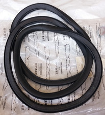 Guarnizione porta anteriore