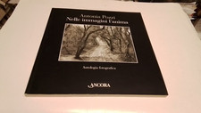 ANTONIA POZZI NELLE IMMAGINI L'ANIMA ANTOLOGIA FOTOGRAFICA- ANCORA, 19f25