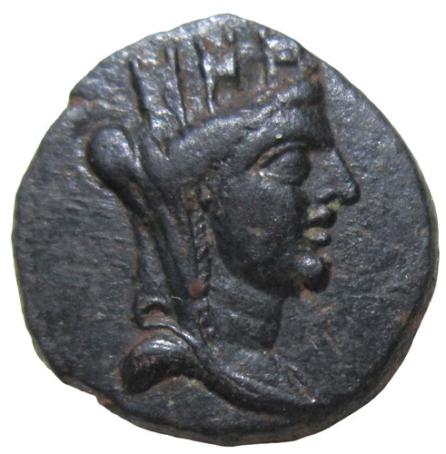 Apameia edizione civica ae - edizione, civica.