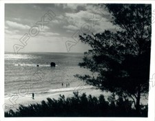 1985 hamilton bermuda - 1985,