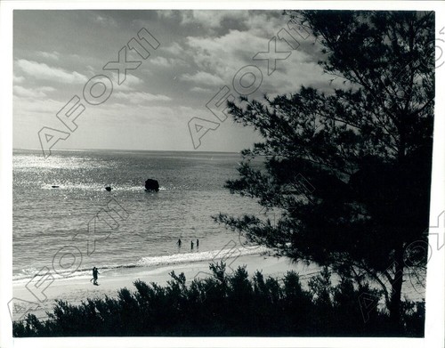 Hamilton bermuda 1985 grande - hamilton,