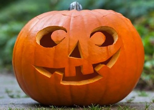 Semi zucca di - 15, halloween