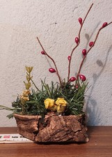 casa presepe albero siepe