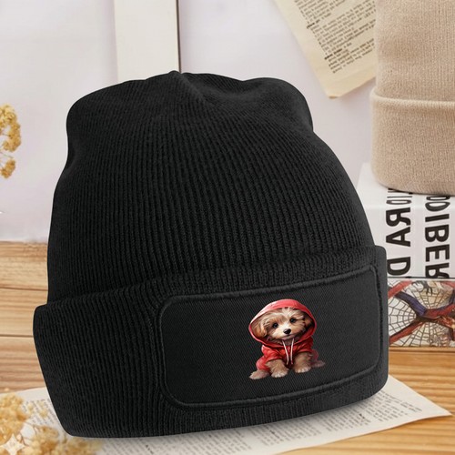 Adorabile cucciolo con