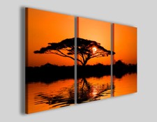 Quadri africani Beautiful african sunrise stampe africa