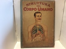 STRUTTURA DEL CORPO UMANO