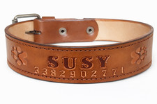 COLLARE CANE COLLARE PER CANE