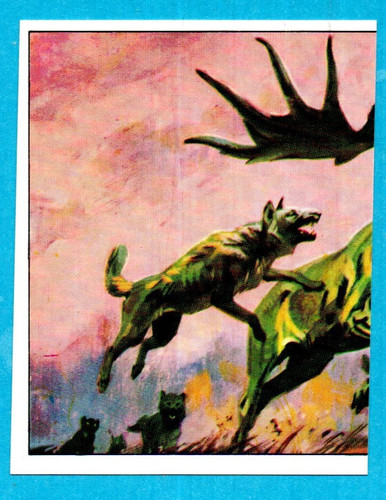 DINOSAURS/ANIMALI