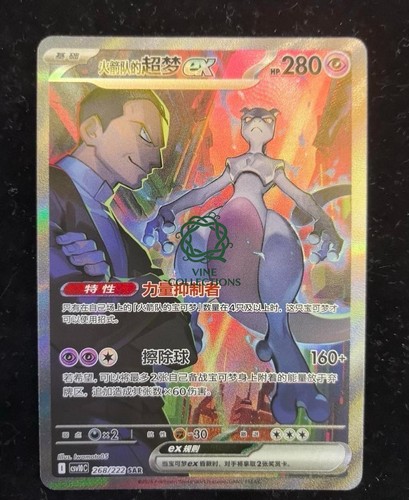 Pokémon tcg chinese team - pokémon,