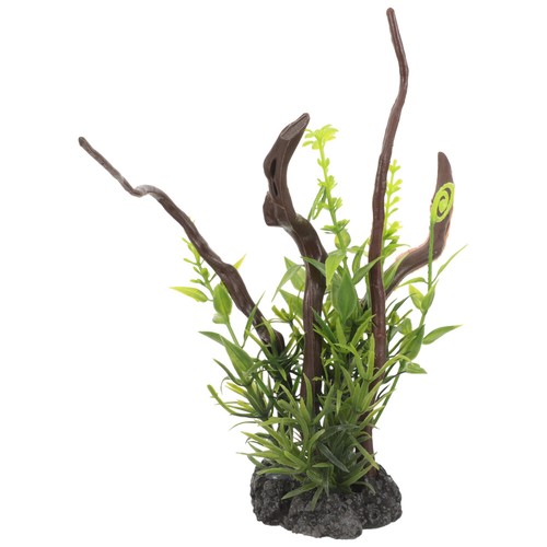 Piante per acquario - , albero