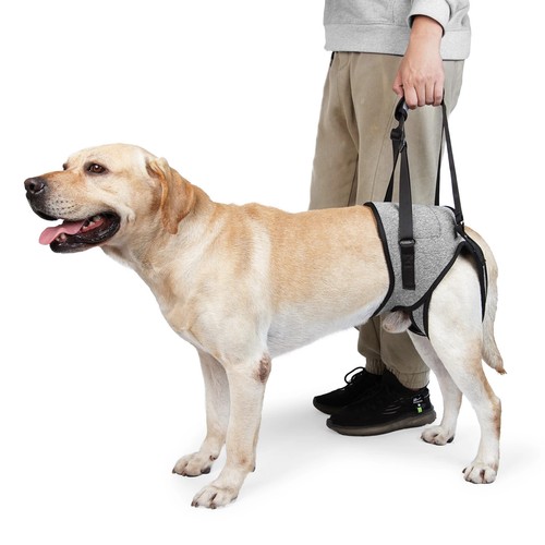 Imbracatura sollevamento gambe - imbracatura,