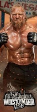 BANNER VINILE WWE GIGANTE