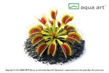 Trappola per mosche di Venere