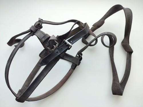 Cinghie originali per litro - cinghie, 1