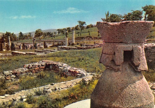 A4601 velleia romana macina - a4601),