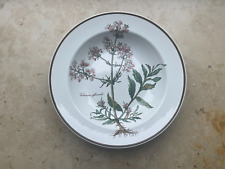 Villeroy & Boch Botanica zuppiera piatto basso 22 cm MOLTO BUONO!
