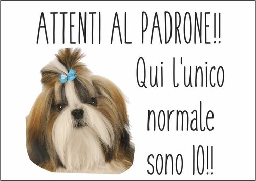 Cartello segnaletico shih - cartello,