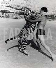 Foto vintage USA, Uomo abbraccia tigre sulla spiaggia, stampa 20x30 cm