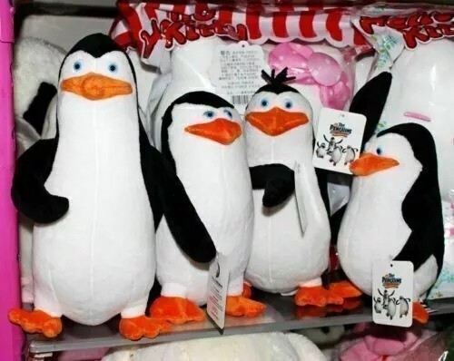 4pz set pinguini di - i,