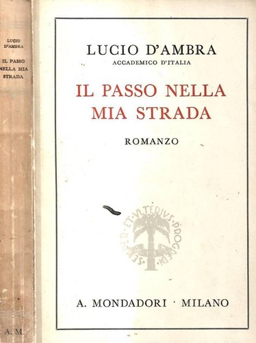 Passo nella mia - il,