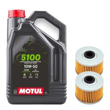 2 filtri olio per Dinli 450