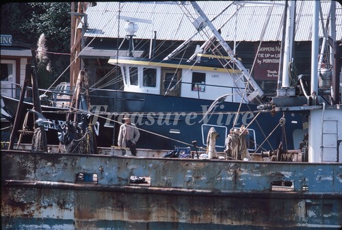 Noyo porto barche pesca - porto, da
