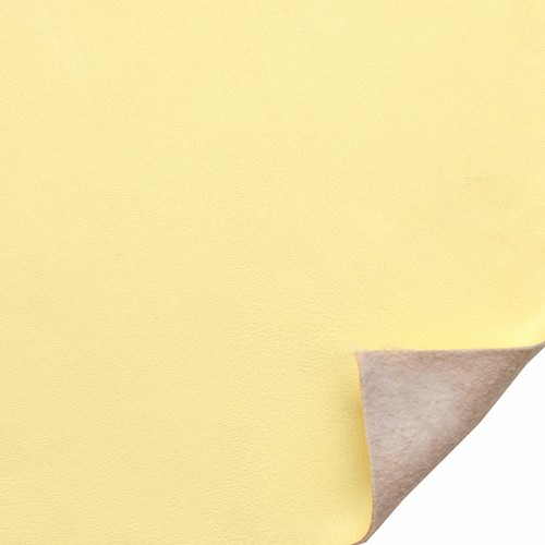 Vinile posteriore sfocato