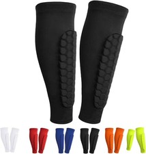 Parastinchi Elastici