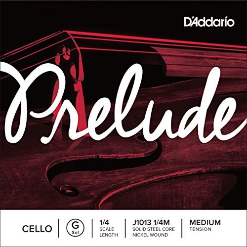 Addario - 1/4, scale)