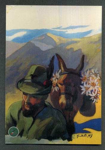 Associazione nazionale alpini - nazionale,