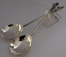 CUCCHIAI DA PORTATA APOSTOLO