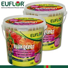 Euflor kg concime - 1,