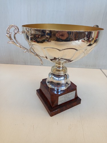 Coppa trofeo originale 1996 - coppa,
