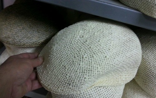 Cappello coppola erba panna - cappello,