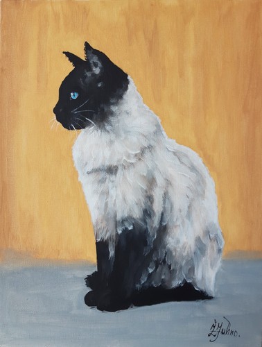 Gatto siamese dipinto - , olio
