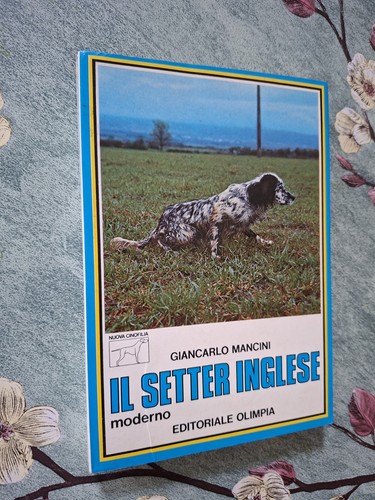 Giancarlo mancini il setter - -,