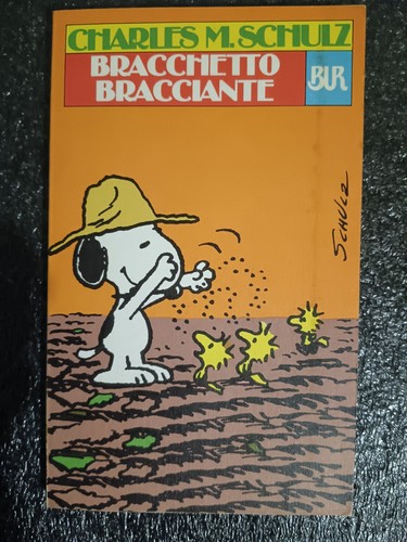 Bracchetto bracciante - bracchetto,