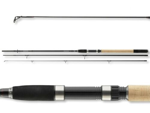 Daiwa procaster intorno - daiwa,