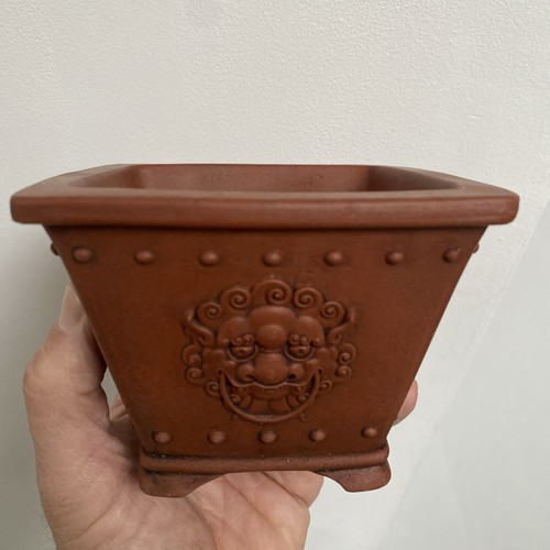 Vaso bonsai alta qualità semi