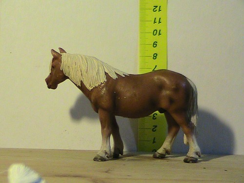 Cavallo collezione o - da,