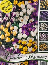 COLLEZIONE DI 75 BULBI AUTUNNALI CROCUS BOTANICI IN MIX BULBS