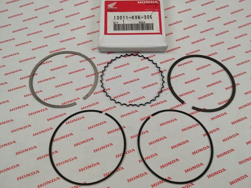 Segment cote std - , 86/95