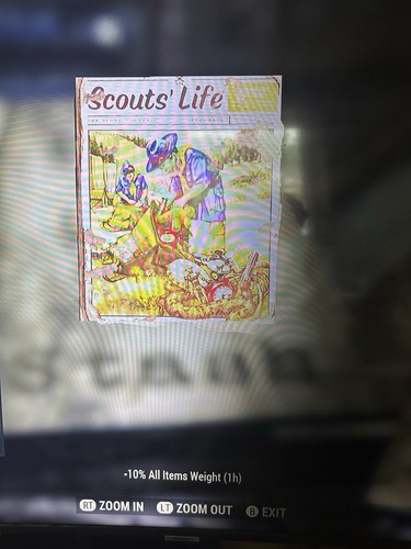 Fallout oggetti 100x - fallout,