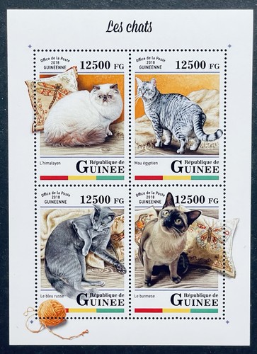 Francobolli gatti della cavia - francobolli,